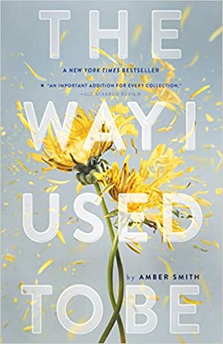 Amber Smith - The Way I Used to Be Audiobook Free