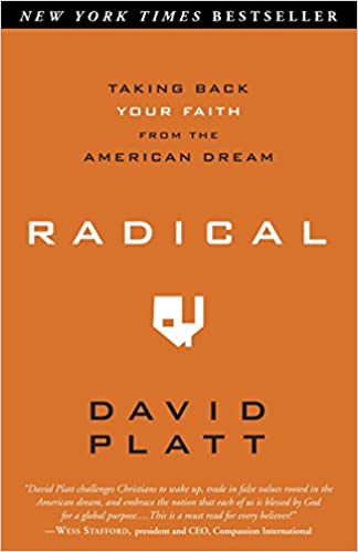 David Platt - Radical Audio Book Free