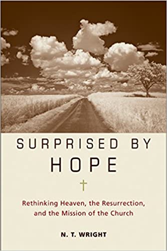 N. T. Wright - Surprised by Hope Audio Book Free